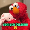 seni çok ÖZLEDIM