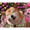 Wholesome 8