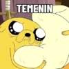 TEMENIN