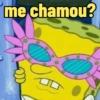 Pack de memes variados 14