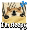 I'm sleepy