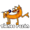 CatDog 27