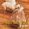 tengo alta lija
