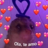 NO
Ola, te amo+