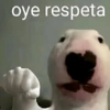 Shitposting 4k😎💥 14