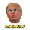 Trump 5
