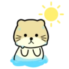 Lovely Daily 5