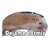 Dejame dormir