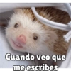 Cuando veo que
me escribes