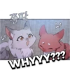 LF 쫄딱 LA WHYYY???