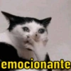 SELECIONADAS  5