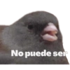 Memes para expresarte 16