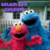 Cookie monster 11
