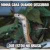 Nájila, a heroína de bsb 13