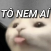 TÔ NEM AÍ