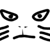 My cat 13
