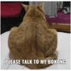 PLEASE TALK TO MY BOKONG