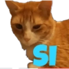 Stickers de El Gato Felipe 6