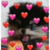 BTS memes english 25