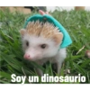 Soy un dinosaurio