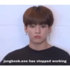 jungkook.exe has stopped working