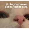 Memes raros pa’ gente rara 😩🤙🏻 10