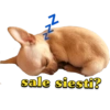 zzz
sale siesti?