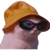 Memeando con estilo 16