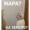 NAPA?
GA SENENG?