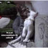 Tu y yo
Intercambiada de
saliva
