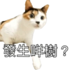 發生咩樹?