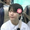 Bts memes 8