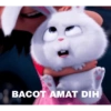 BACOT AMAT DIH