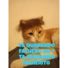 Stickers de El Gato Felipe 7