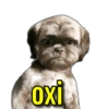oxi Confide Vi