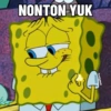 NONTON YUK Pwettykoala