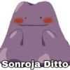 Sonroja Ditto