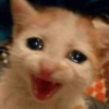 💤 Gatitos Posting 💤 7