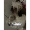 Timoteo 6