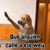 Que alguien calle a ese wey