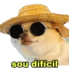 sou difícil