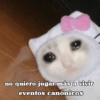 ⋆🐾 gatos tristes ᓚ₍ ^•⁠ ⁠ᴥ •^₎ 10