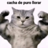 cacha de puro llorar