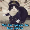 Ya te cayo la ley prro