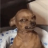 📲☕🫐 Tiktok Mood 🫐☕ 7