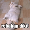 rebahan dikit