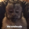 B Me endeude