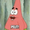PELIT!