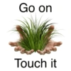 Go on Touch it