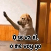 O se va él, o me voy yo